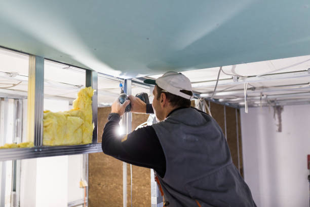 Best Insulation Installation Services in Feather Sound, FL