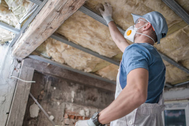 Best Types of Insulation in Feather Sound, FL