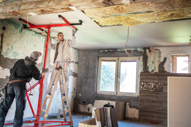 Best Commercial Insulation in Feather Sound, FL