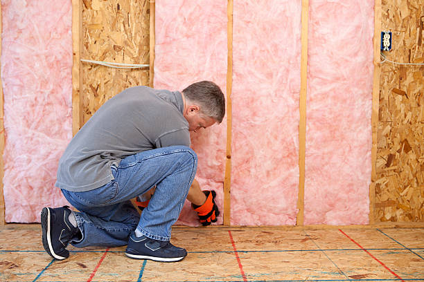 Best Residential Insulation in Feather Sound, FL