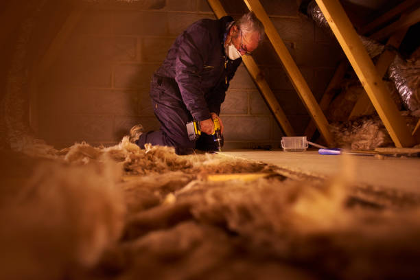 Best Insulation Maintenance and Repair in Feather Sound, FL